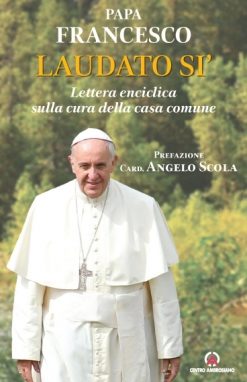 A Casorate Sempione, incontro con Vergottini sull’enciclica Laudato si’