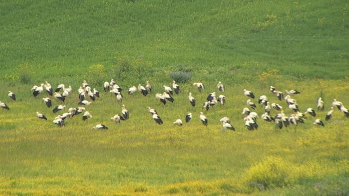 Turismo e Biodiversità