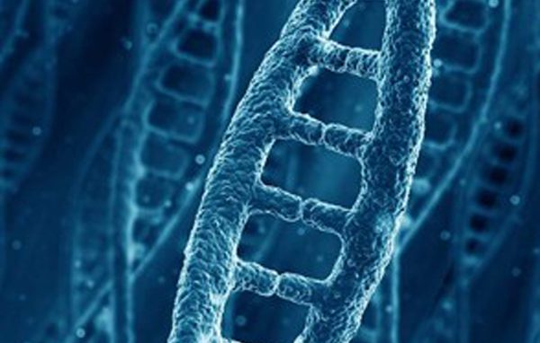 La prova del Dna nel processo penale