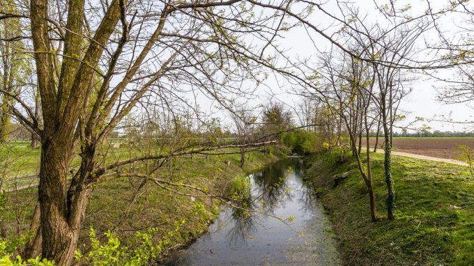 La tutela dell’ambiente