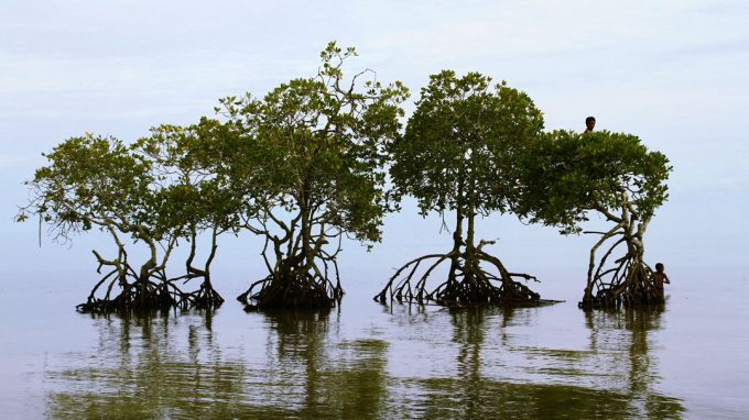 Dalla Papua Nuova Guinea all’Italia,  uniti nella lotta al cambiamento climatico