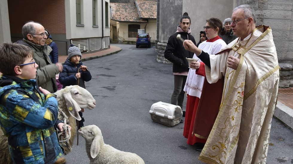 La benedizione degli animali a Malavedo (Lecco), nel 2022