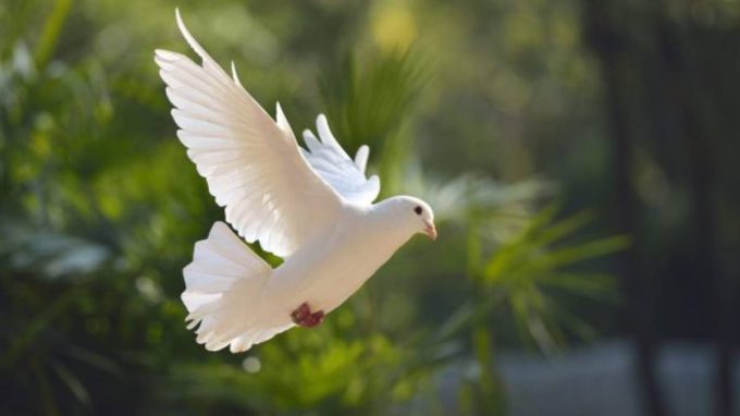 L’Arcivescovo: «Noi vogliamo la pace»