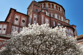 A Milano incontro con padre Barzaghi sul tomismo anagogico