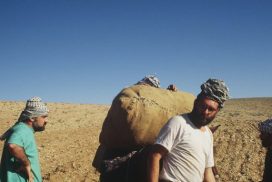 Cristiani e musulmani, la fratellanza possibile: il sogno di Paolo Dall’Oglio