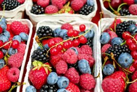 Acli Terra a Milano, al Book Pride organizza l'incontro - workshop "Rocky Marciano. Campioni e Alimentazione. I frutti rossi"