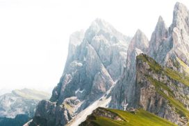 Tempo del Creato 2024: a Milano momento di riflessione e contemplazione immersi nella natura