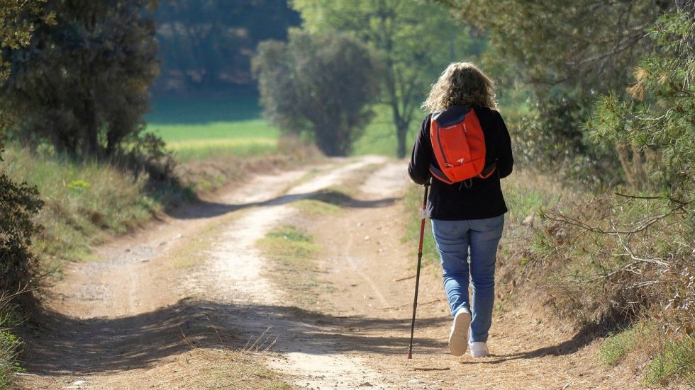 Milano, Camminata ecumenica per il Creato