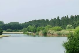 Pregare nella Natura del Parco Nord